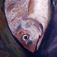 Lilac Fish